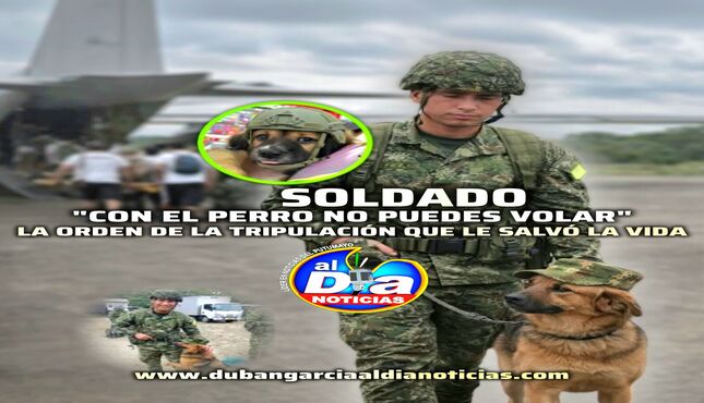Soldado 